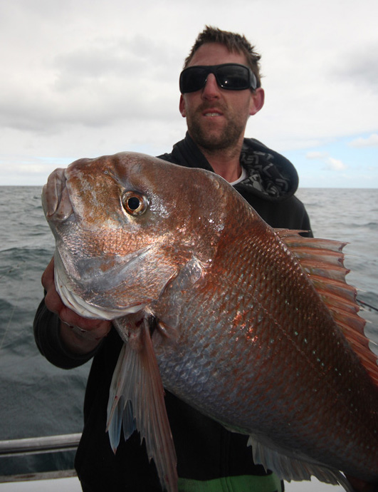 Snapper Fishing Charters in Mornington Peninsula & Port Phillip Bay