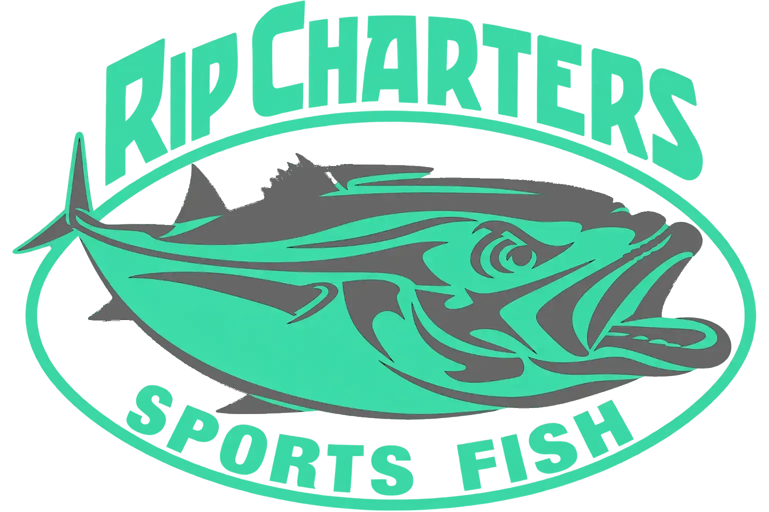 bass strait fishing charters sorrento 05